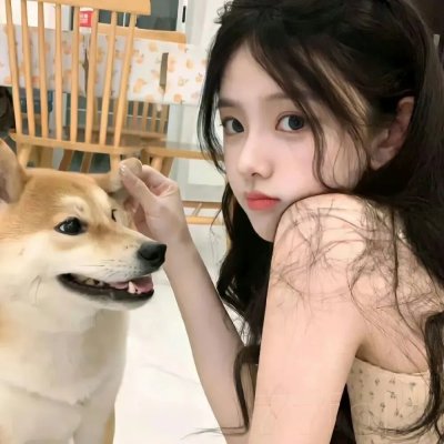 榜上佳婿